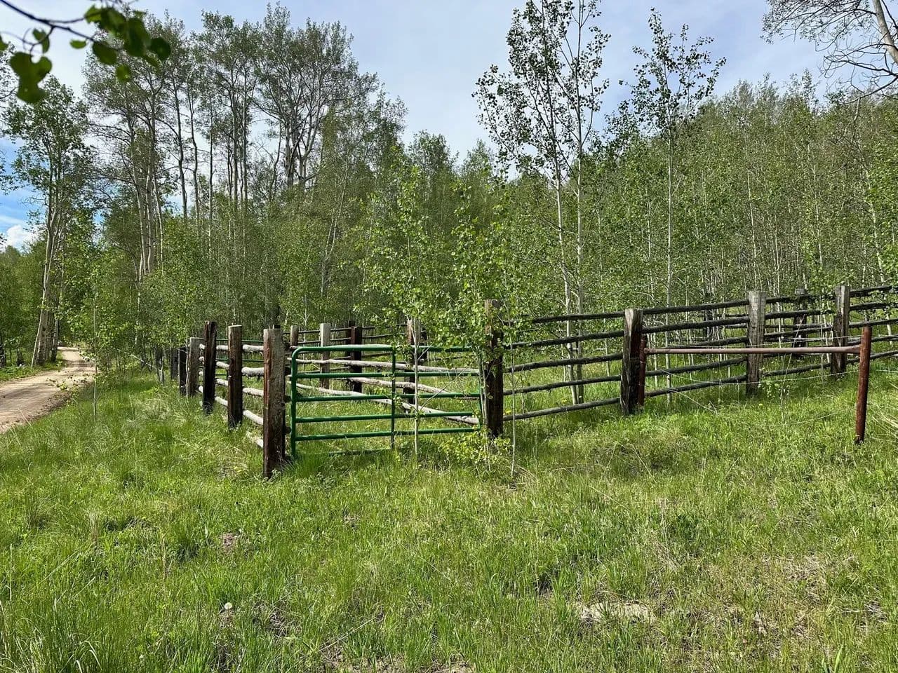40 Acres of Prime Hunting & Mountain Land – Gunnison Highlands North - Gunnison, Colorado, 81230