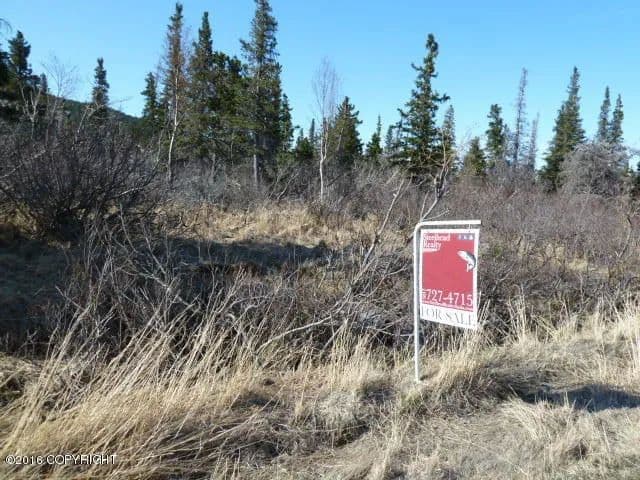 Property from 16340 Diane Drive - KW - 99516