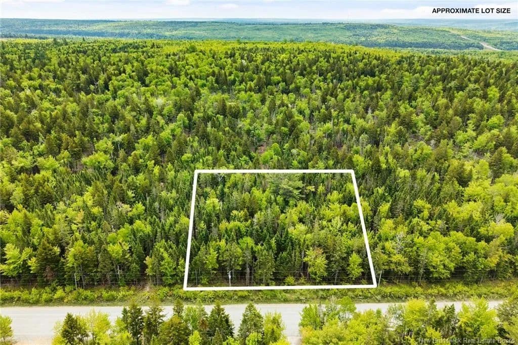 Land for Sale in Taymouth, NB - land for sale