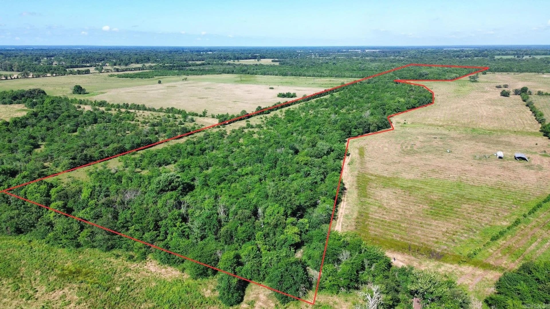 Property from 000 Pine Prairie Rd. - KW - Ashdown, Arkansas, 71822