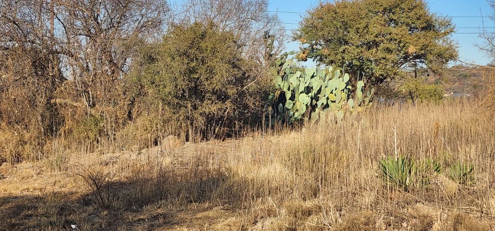 1120 Acres of Land for Sale in Vaal Marina, Gauteng - land for sale