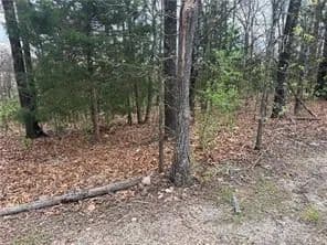 0.22 Acres of Land for Sale in Ridgedale, Missouri - Ridgedale, Missouri, 65739