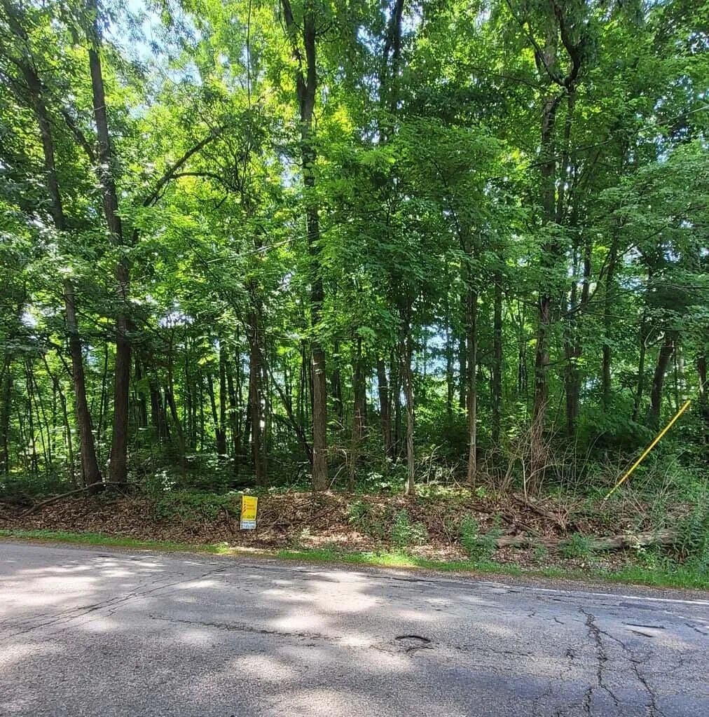 Property from 11839 Vicary Road - KW - Jerome, Michigan, 49249