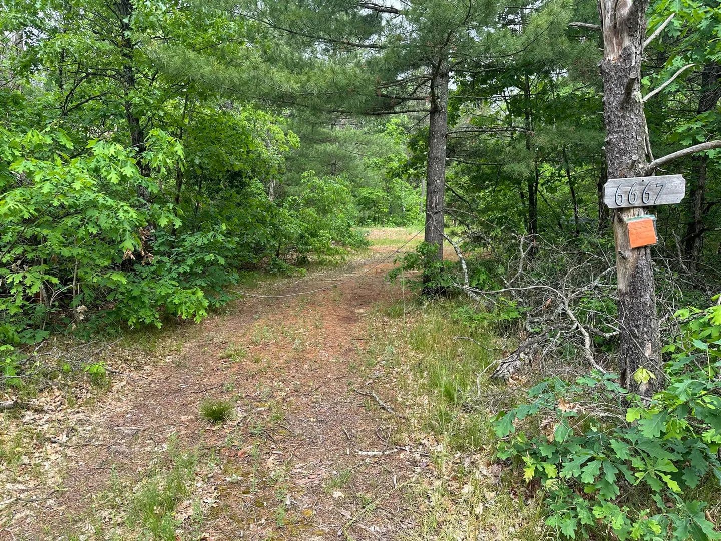 Property from 6667 S Dillard Street - KW - Baldwin, Michigan, 49304