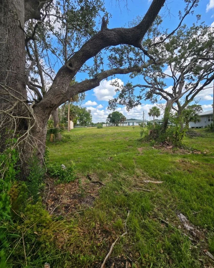 0.46 Acres of Land for Sale in Steinhatchee, Florida - Steinhatchee, Florida, 32359