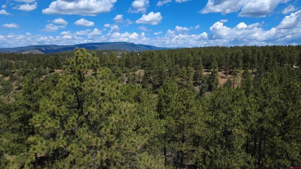 1.14 Acres of Land for Sale in Pagosa Springs, CO - Pagosa Springs, Colorado, 81147