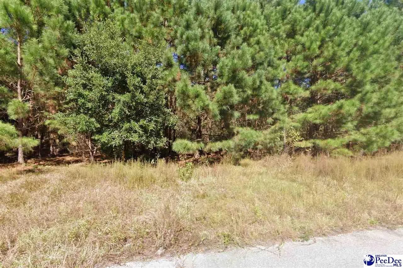 0.27 Acres of Land for Sale in Johnsonville, SC - Johnsonville, South Carolina, 29555