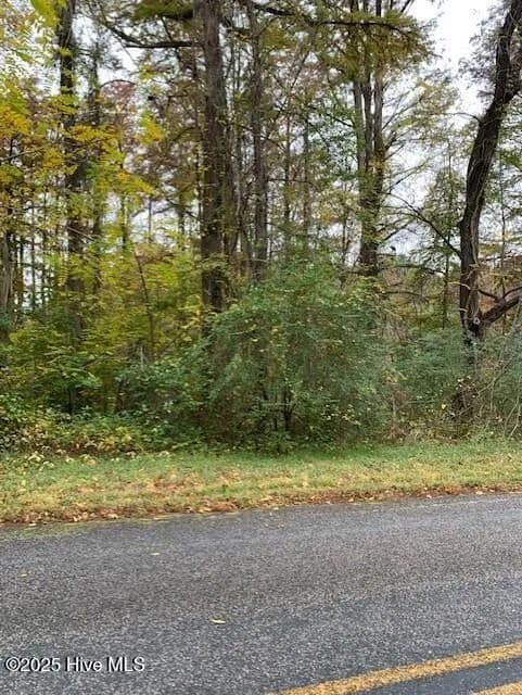 Lots & Land-Other in Harrellsville - Harrellsville, North Carolina, 27942