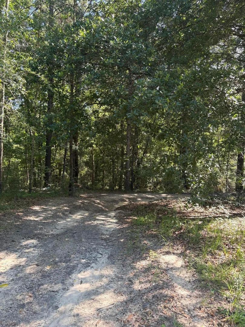 Property from 00 J B Horne Rd. - KW - Hattiesburg, Mississippi, 39401