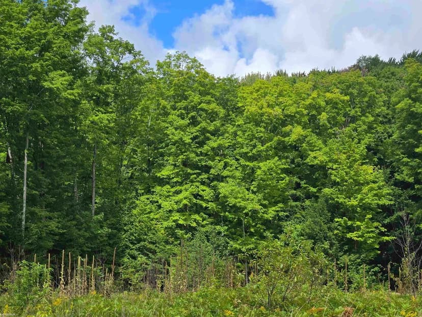 Property from 1216 Bundy - KW