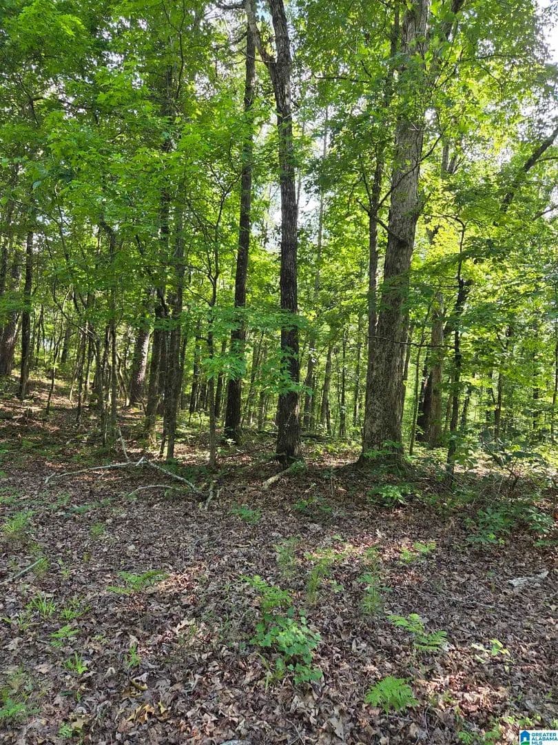 4.9 Acres of Land for Sale in Sylacauga, Alabama - Sylacauga, Alabama, 35150