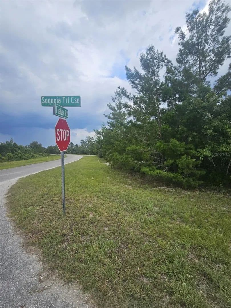 Lots & Land-Other in OCKLAWAHA - land for sale