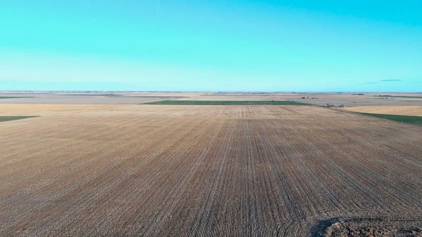 Hyde Dryland Auction