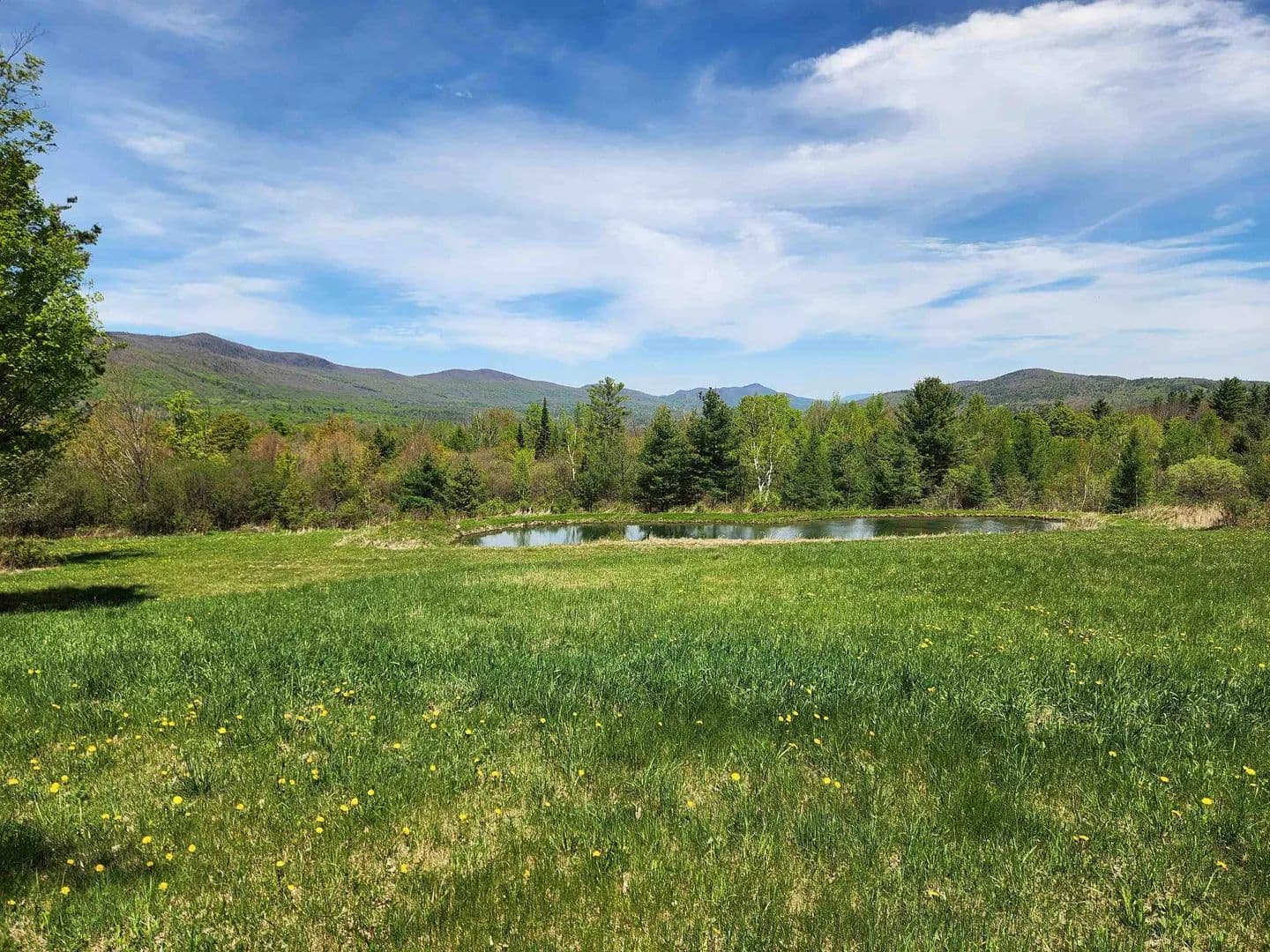 Property from 3517 Colvin Hill Road - KW - Danby, Vermont, 5739
