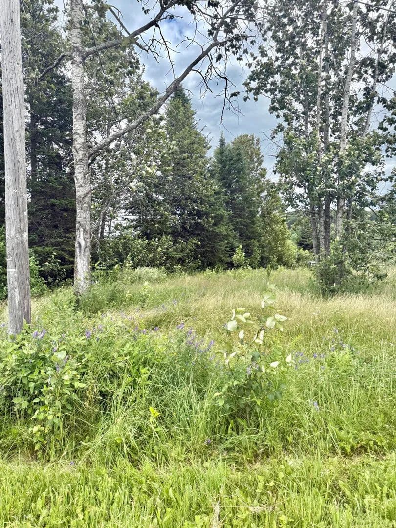 77.24 Acres of Land for Sale in Perham, ME - Perham, Maine, 04766