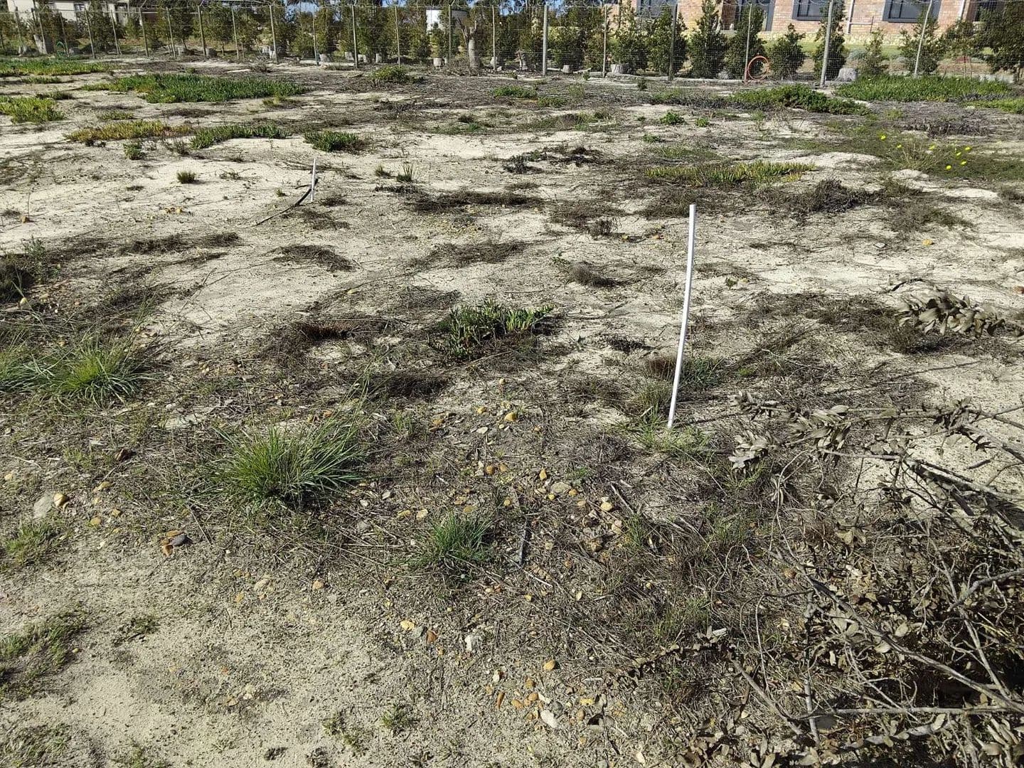 285 Acres of Land for Sale in Albertinia, Western Cape - land for sale