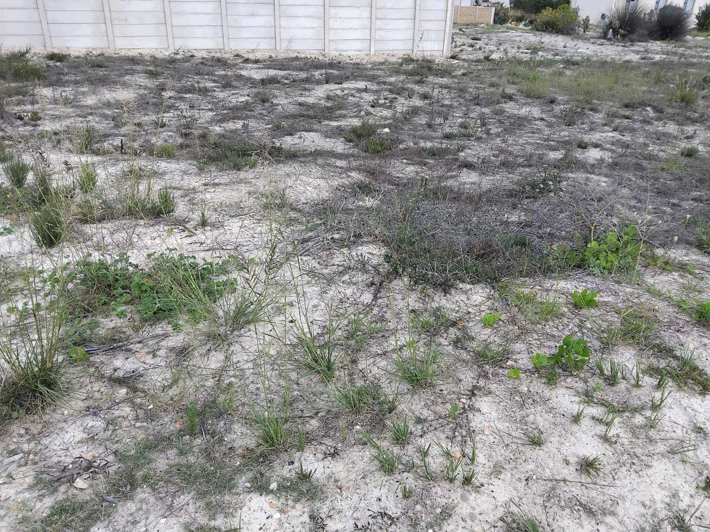 225 Acres of Land for Sale in Albertinia, Western Cape - land for sale