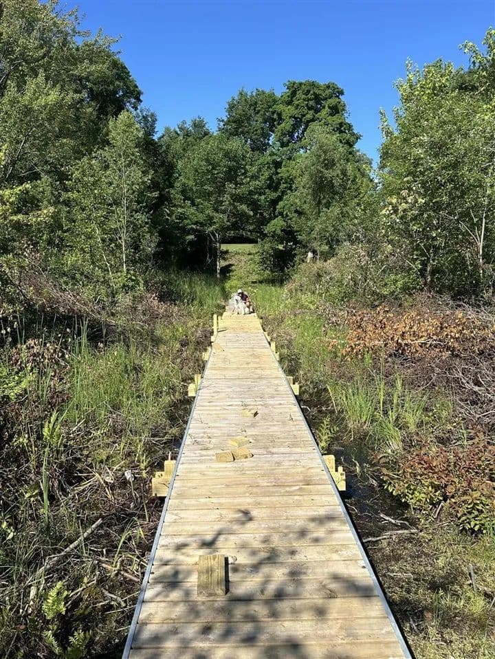 Property from 6081 Terry - KW - Six Lakes, Michigan, 48886