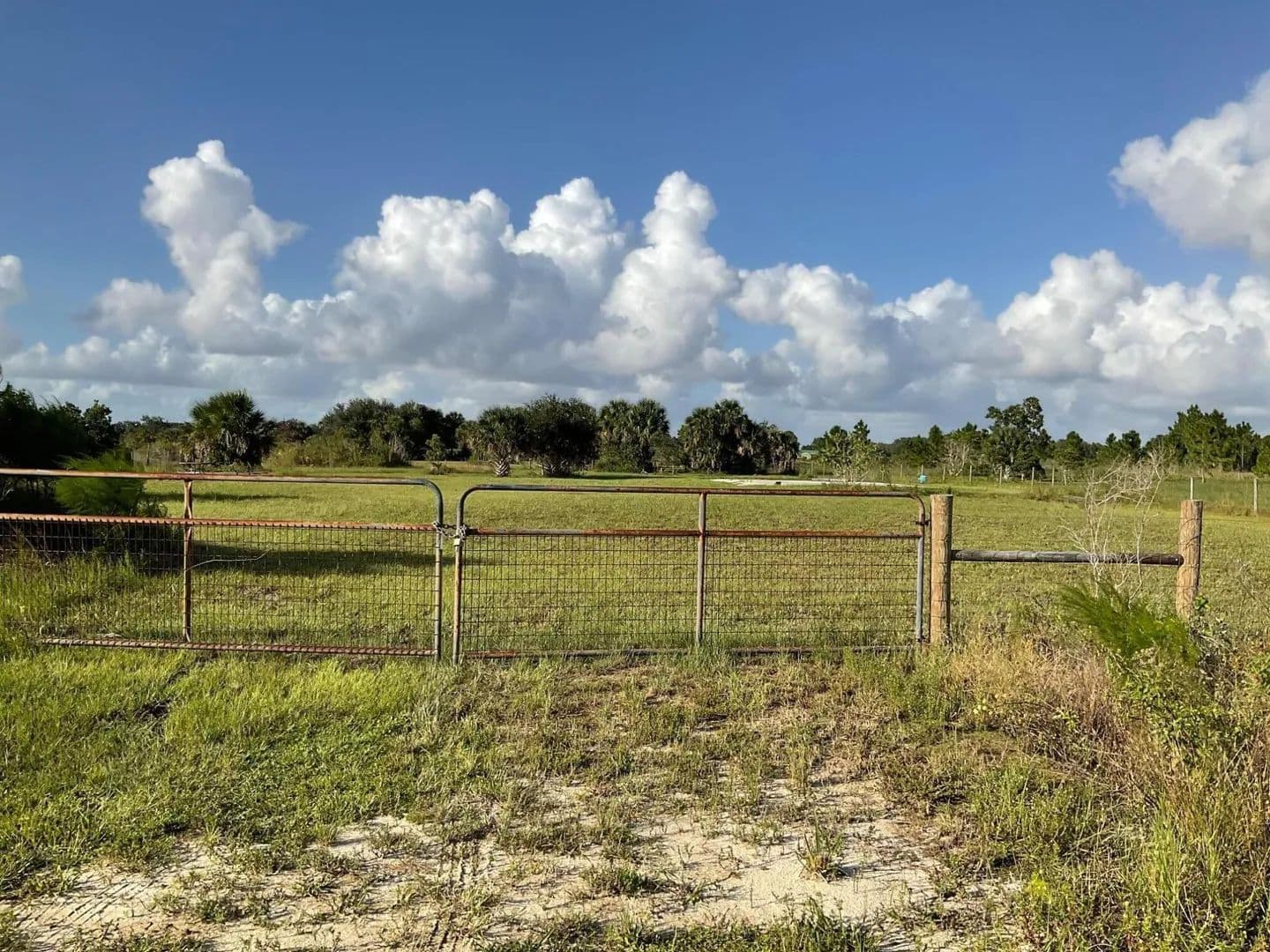 1.25 Acres of Land for Sale in Okeechobee, Florida - Okeechobee, Florida, 34972