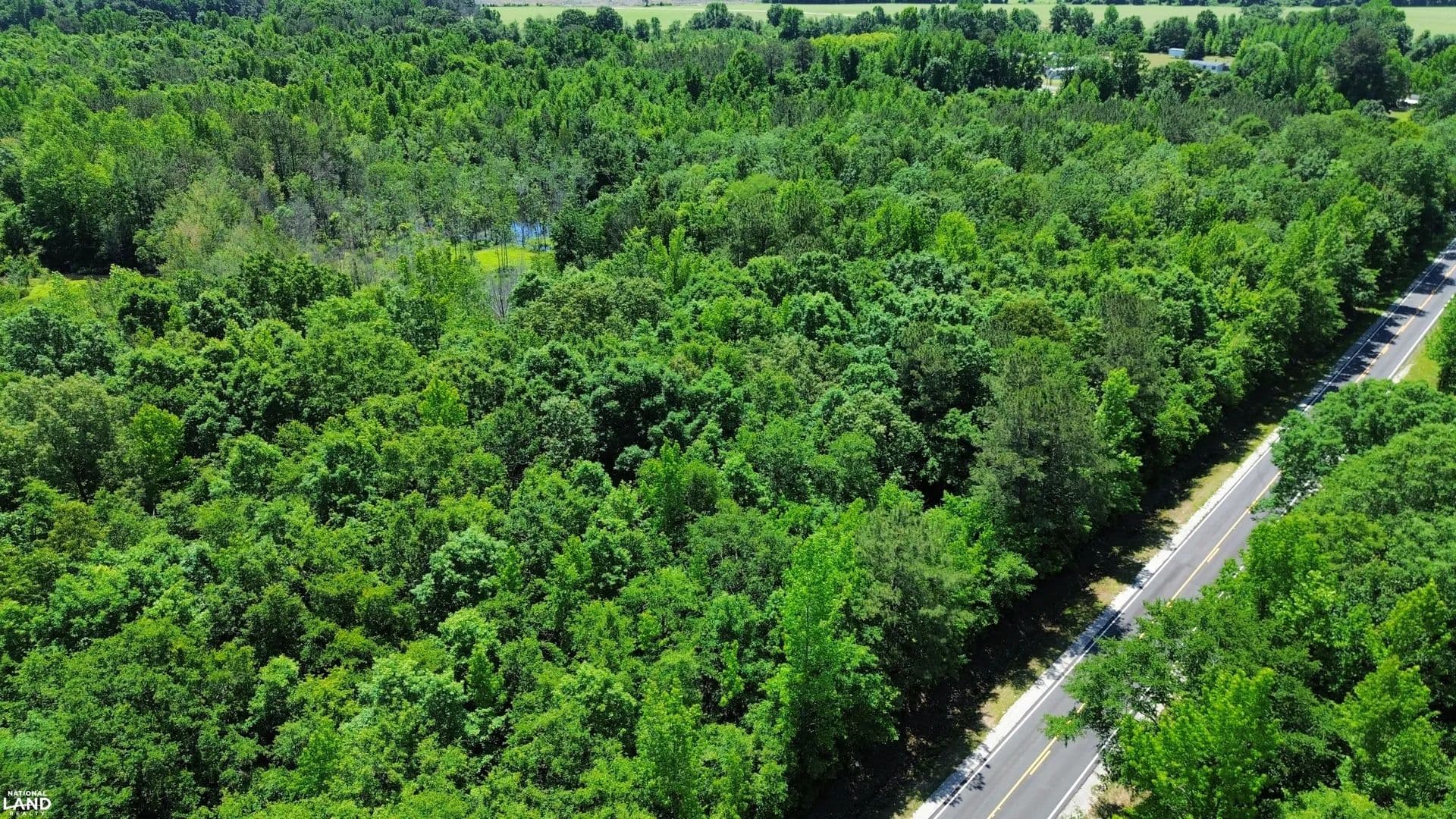 Alfordsville Tract 1 - Rowland, North Carolina, 28383