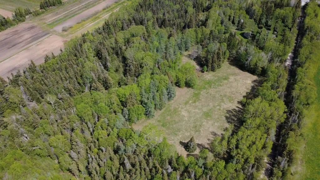 Land for Sale in PASADENA, NL - land for sale