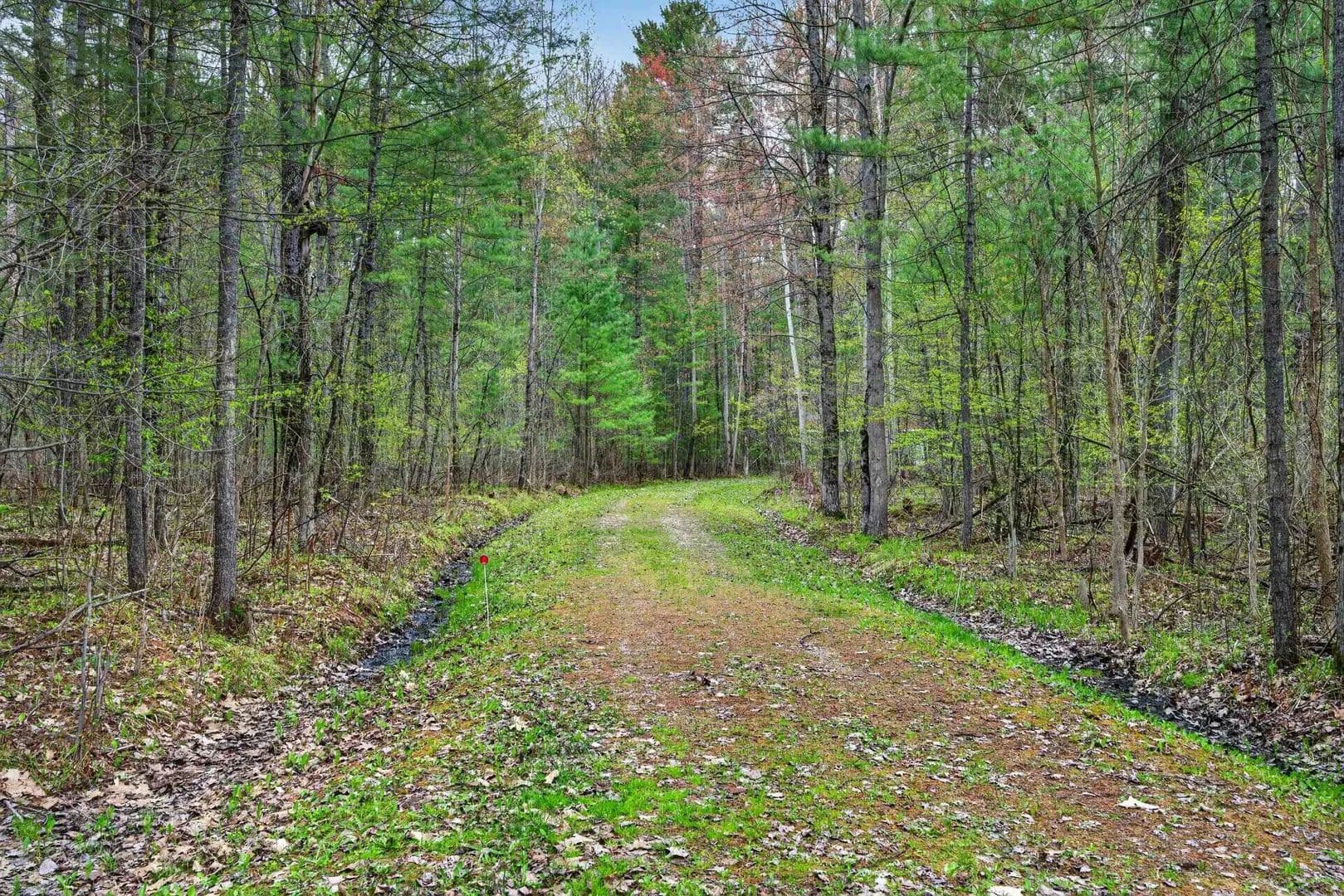 Property from 0 E Pinecrest - KW - Gladwin, Michigan, 48624