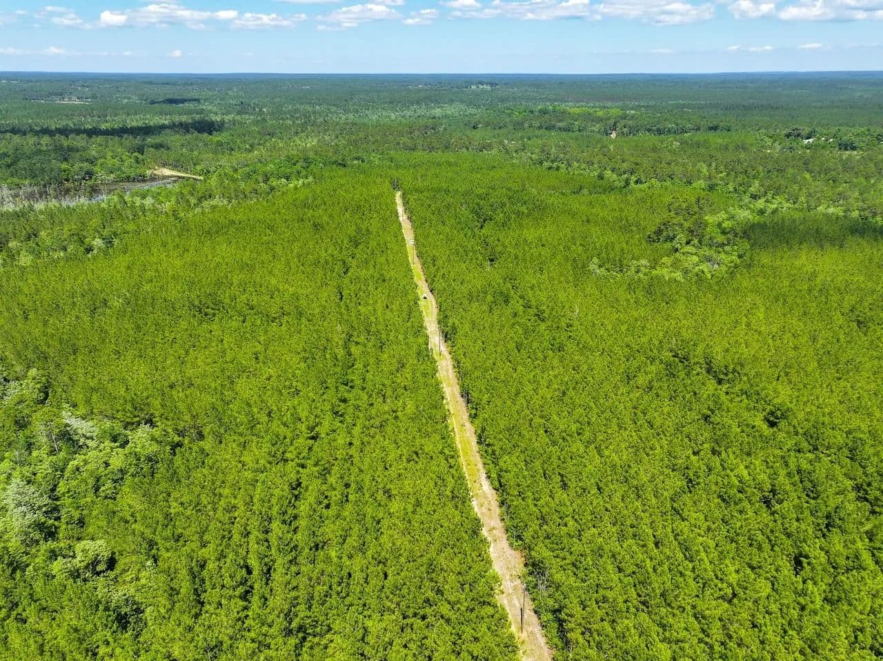 Hurricane branch- 153 Acres Washington County AL - Vinegar Bend, Alabama, 36584