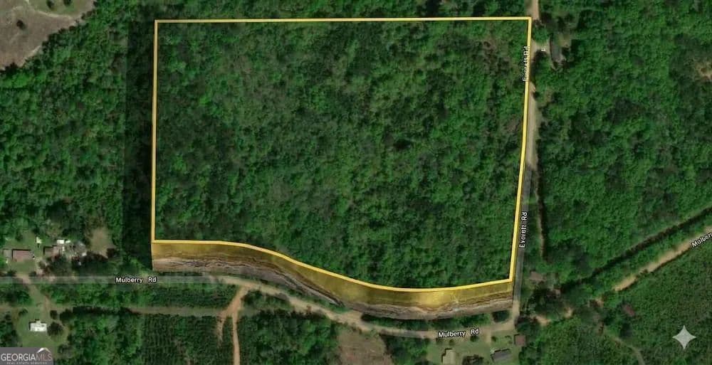 29 Acres of Land for Sale in Brantley, AL - Brantley, Alabama, 36009