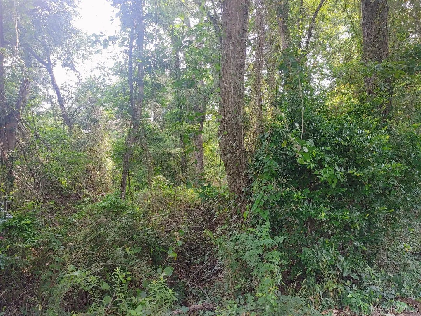 4.12 Acres of Land for Sale in Montgomery, Alabama - land for sale
