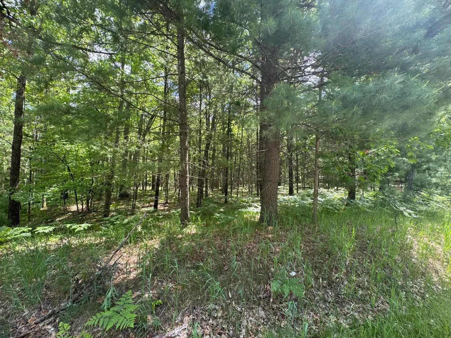 Property from 2830 W Pierce Drive - KW - Brohman, Michigan, 49312