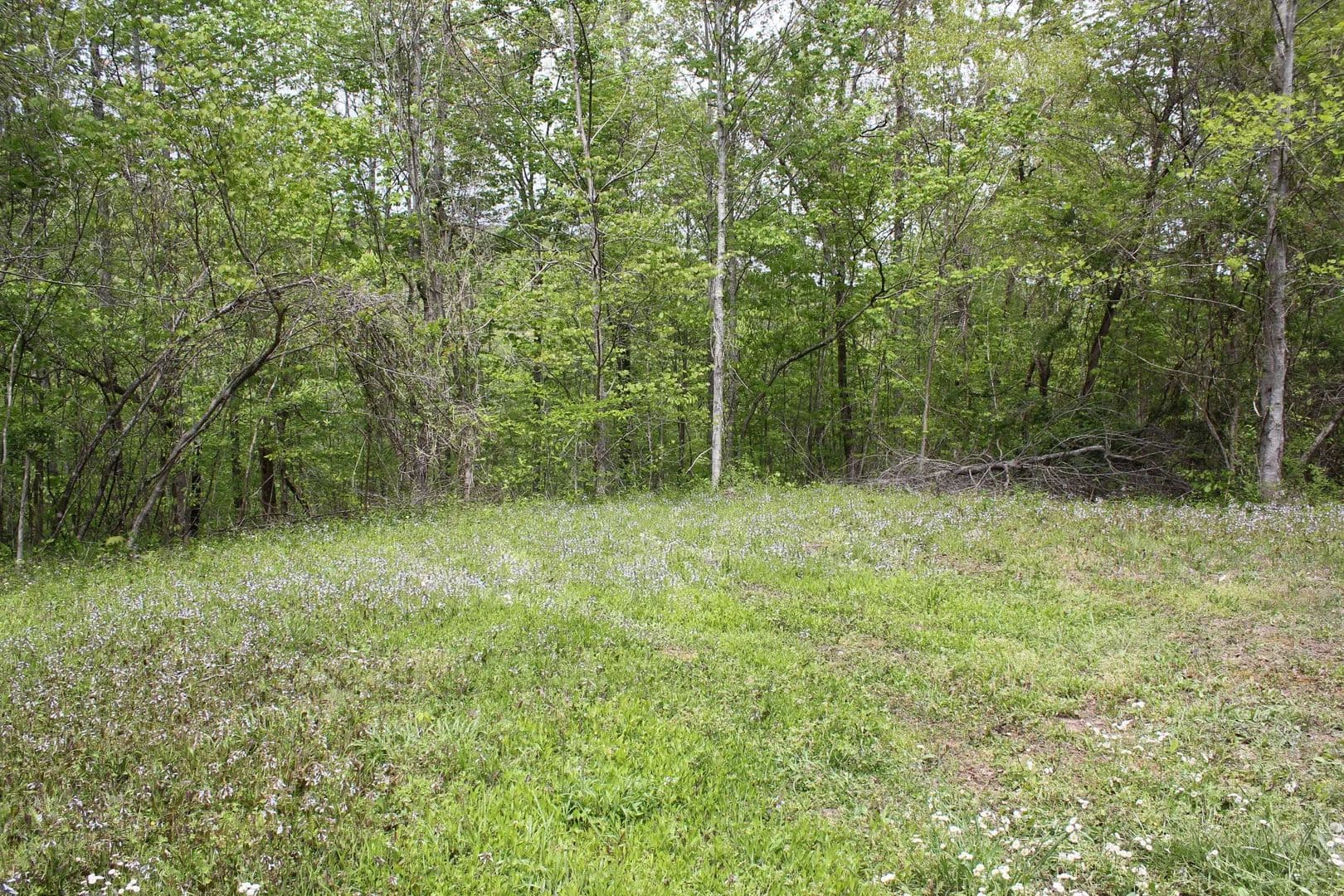 Land -Single Family Acreage in Whitley City - land for sale