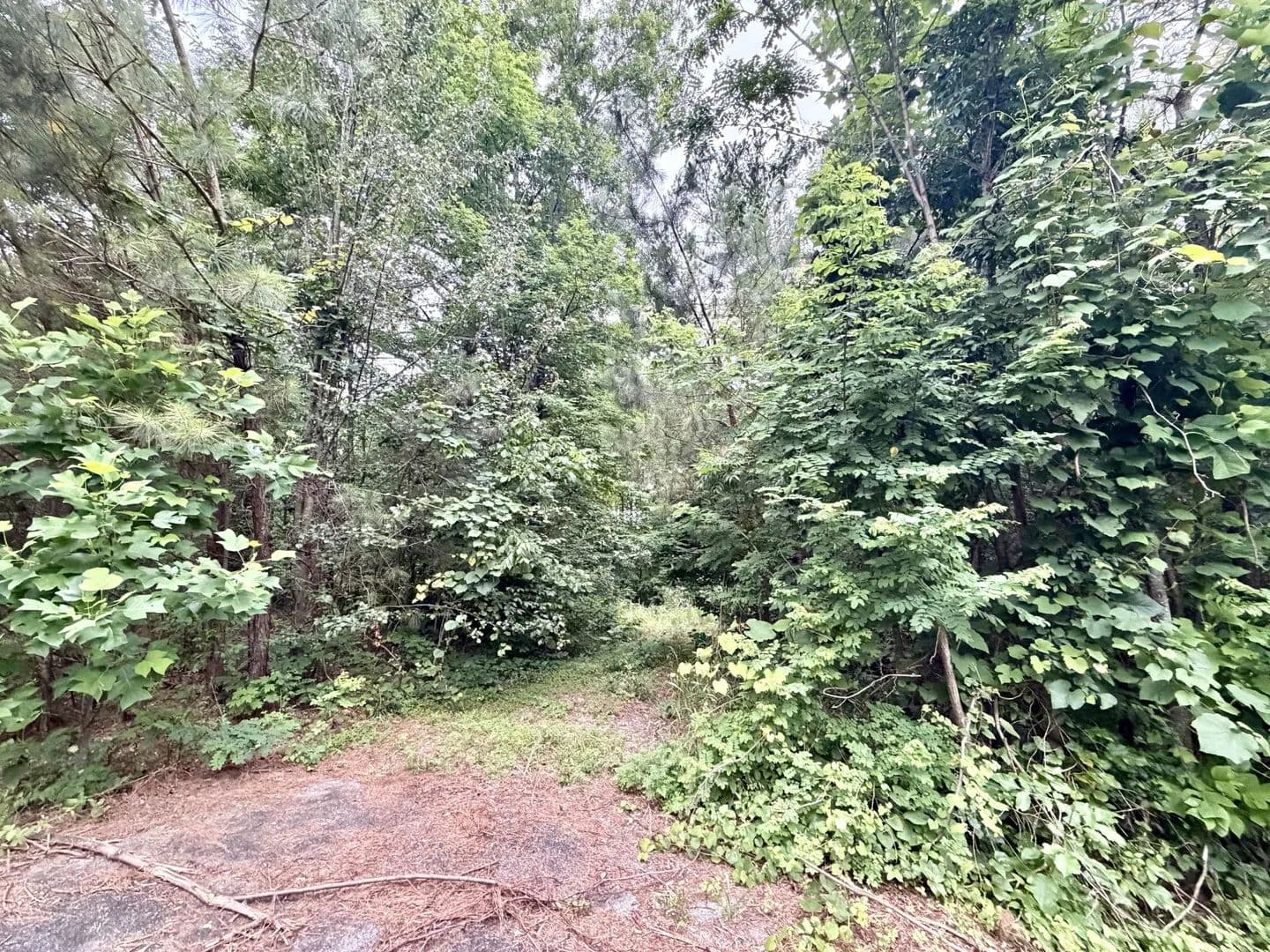 Property from 0 Cobbler Ridge Road - KW - Franklin, Tennessee, 37064