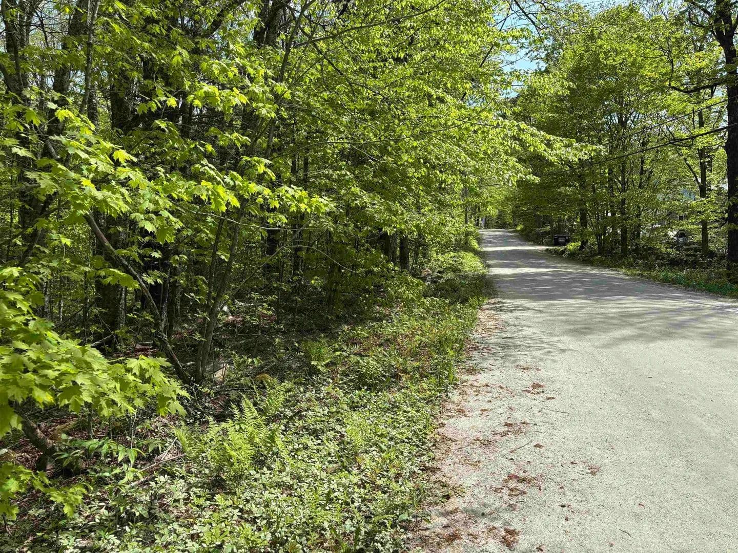 Property from 00 Snell Road - KW - Chester, Vermont, 5143