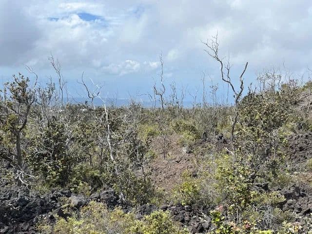 Vacant Land in Ocean View - Ocean View, Hawaii, 96737