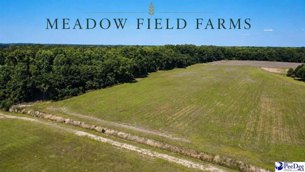 Property from TBD N. Bethel Rd (Field) - KW - Coward, South Carolina, 29591
