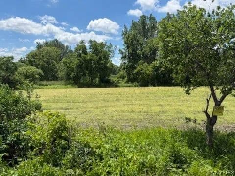 18.6 Acres of Land for Sale in Oakfield, NY - Oakfield, New York, 14125