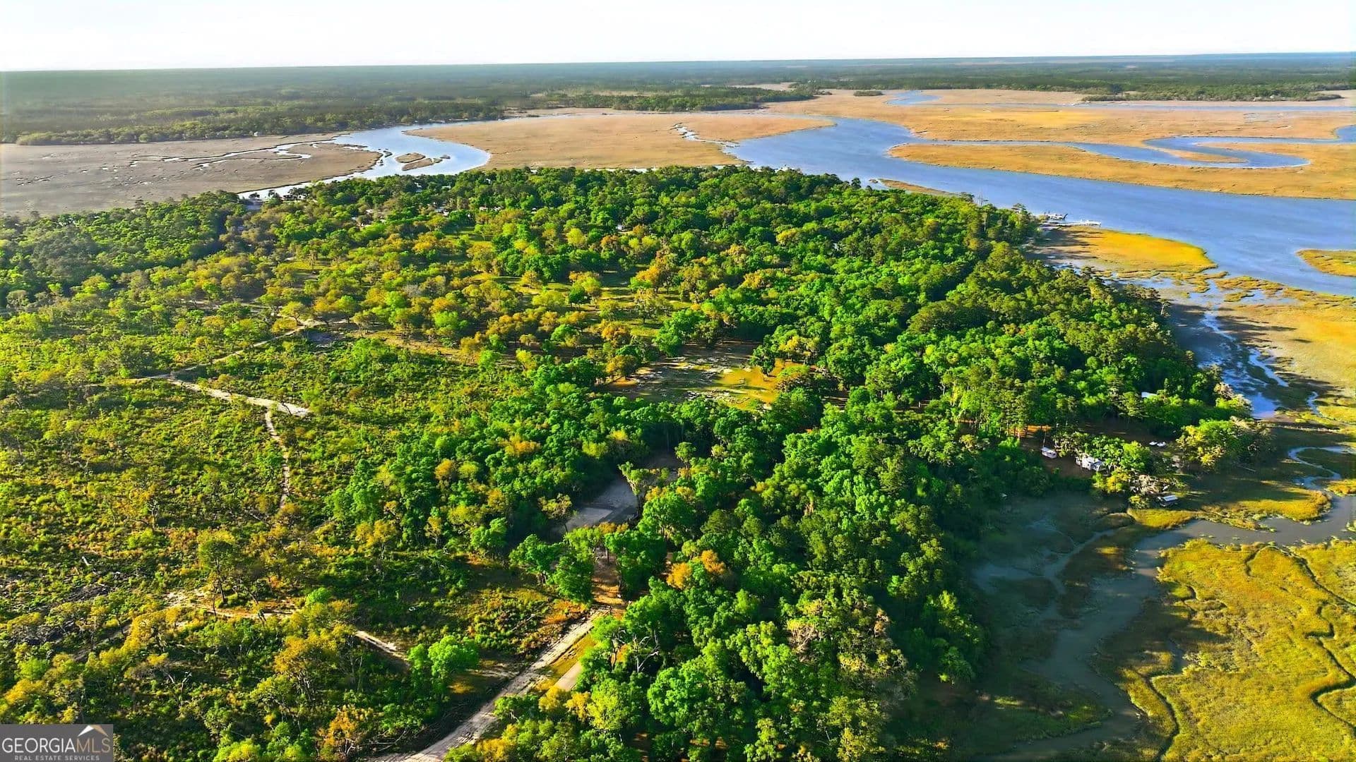 1.02 Acres of Land for Sale in Townsend, Georgia - Townsend, Georgia, 31331