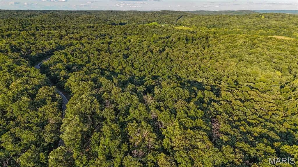 43.36 Acres of Land for Sale in Portland, MO - Portland, Missouri, 65251