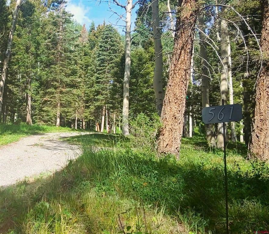 1 Acre of Land for Sale in Cimarron, CO - Cimarron, Colorado, 81220