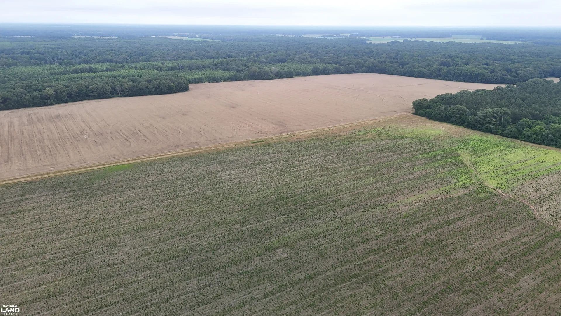 River Road 325+/- Acre Farm - Stuttgart, Arkansas, 72160