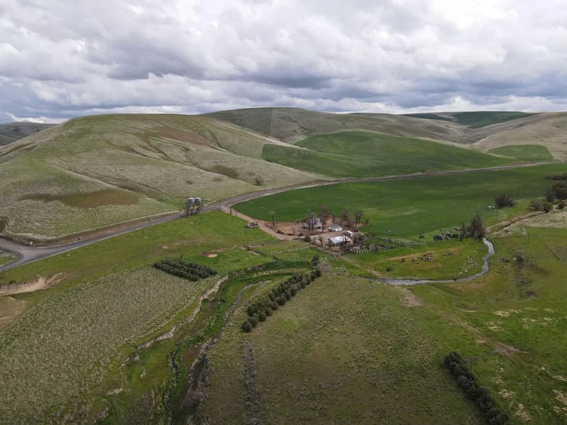 Whitmore Hereford Cattle Ranch