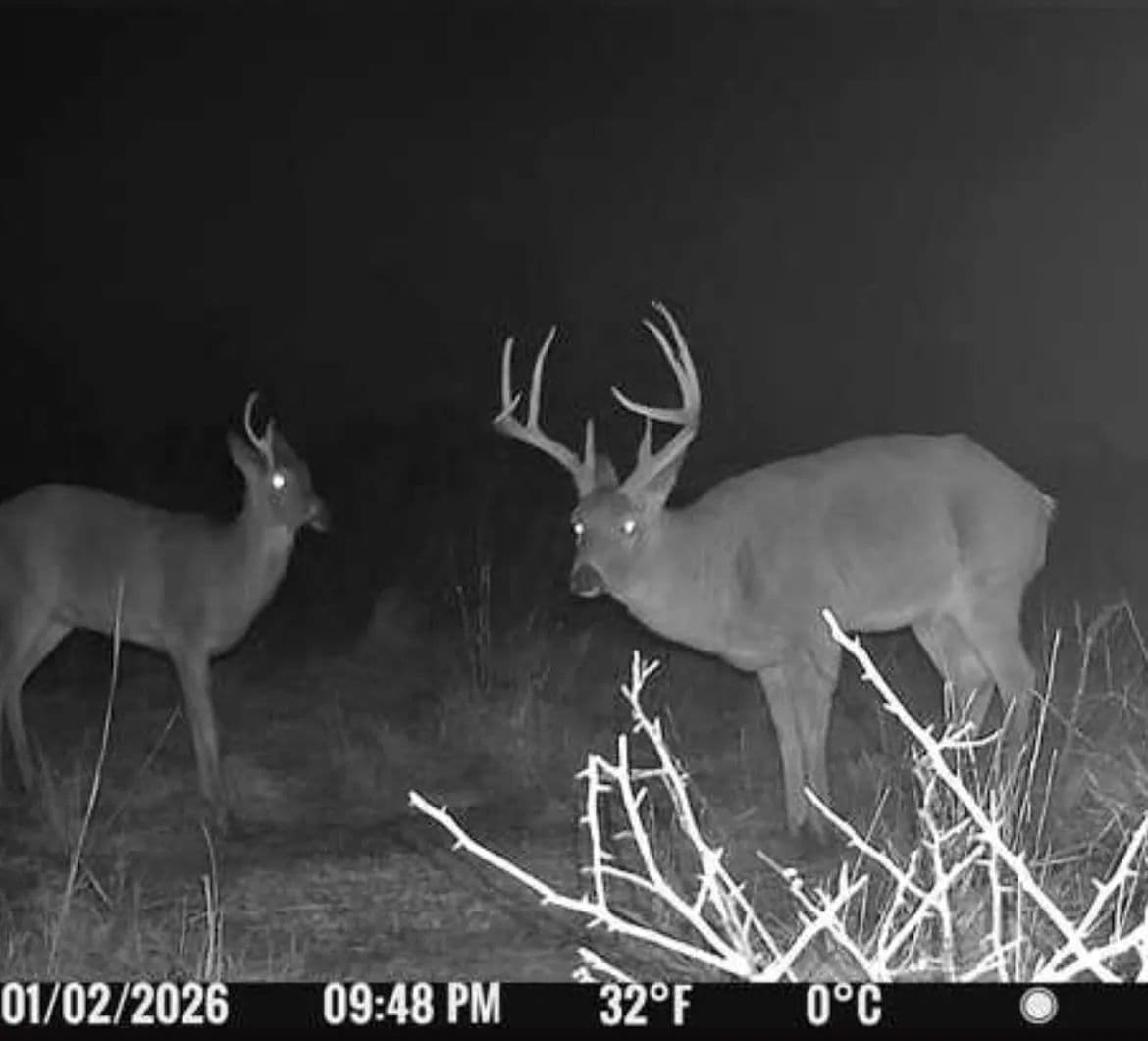164 Acres of Land for Sale in Beloit, KS - Beloit, Kansas, 67420