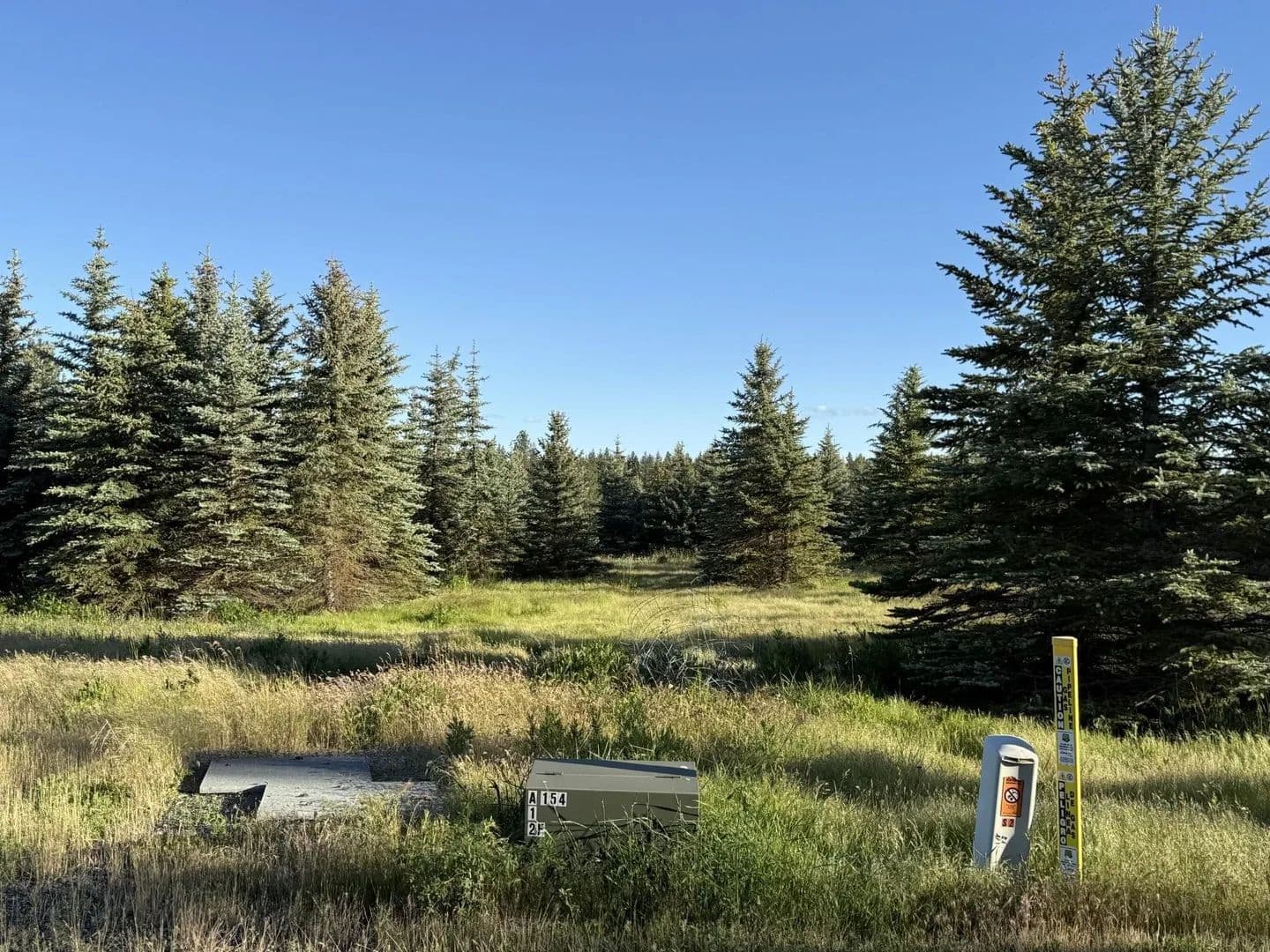 Property from 119XX S Spruce Tree Ln - KW - Mica, Washington, 99023