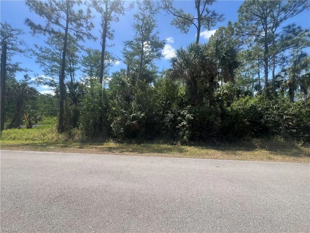 Property from 41st AVE NE - KW - Naples, Florida, 34120