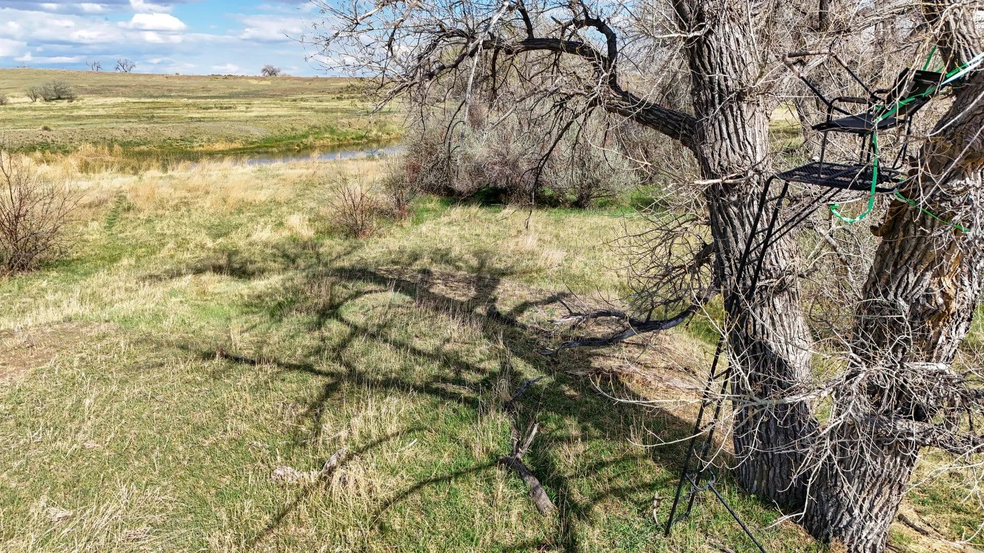 Cottonwood Creek Farm - Agate, Colorado, 80101