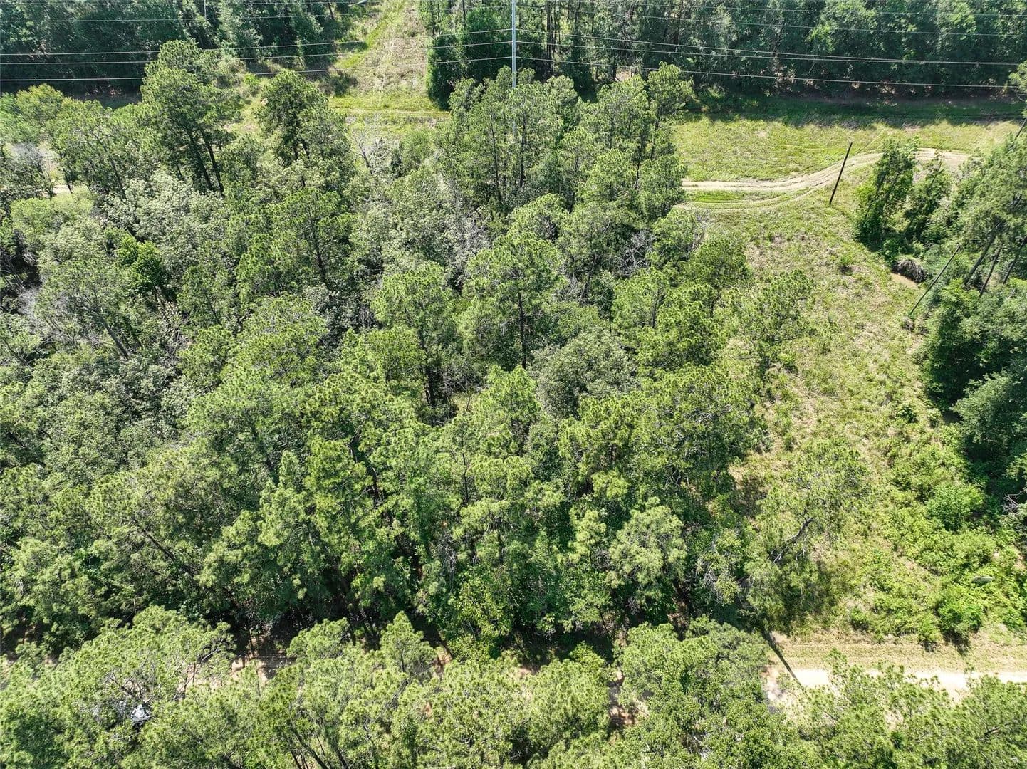 Property from 000 Fairway Dr - KW - New Caney, Texas, 77357
