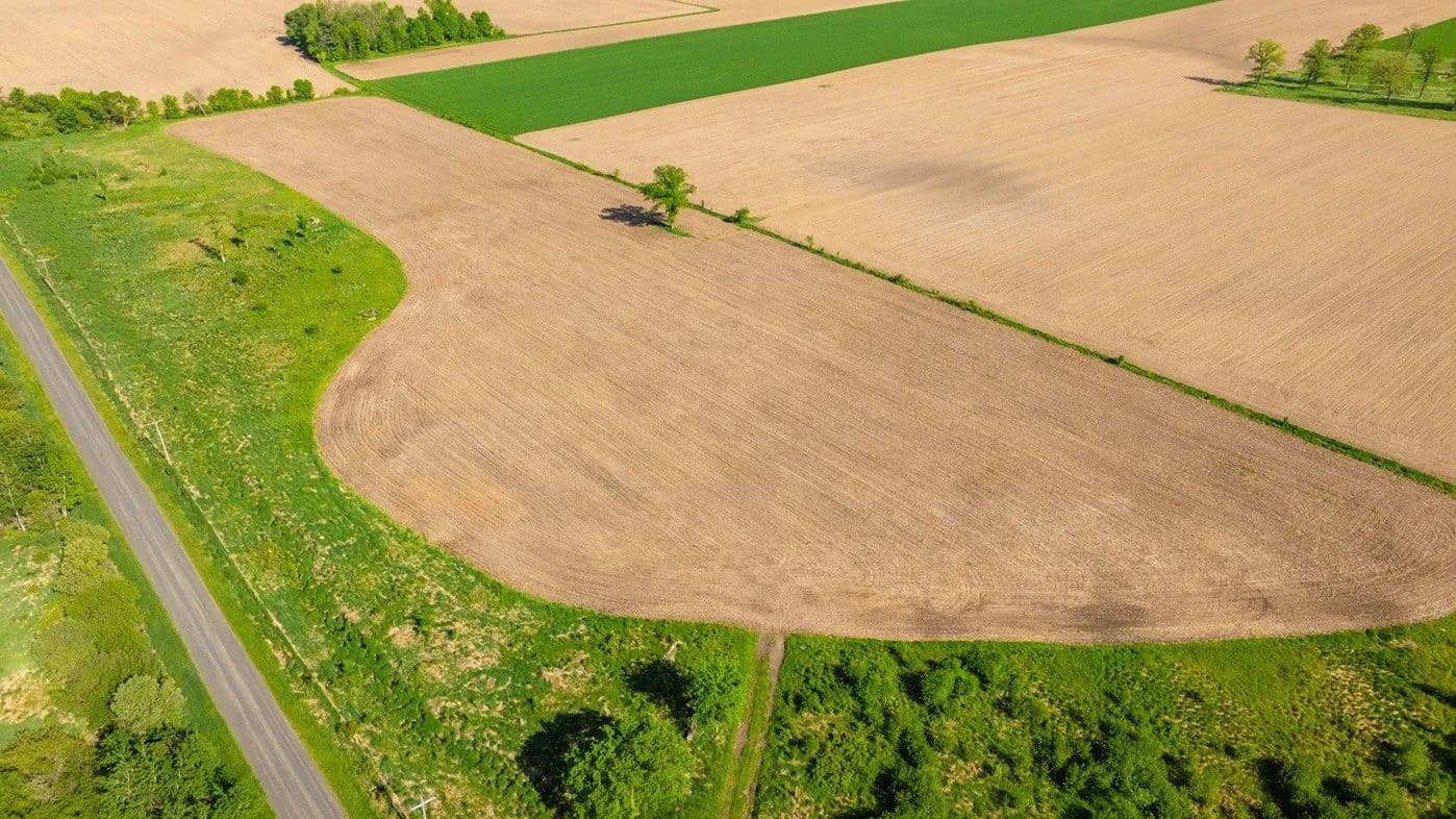 16.15 Acres of Land for Sale in Stanley, Wisconsin - Stanley, Wisconsin, 54768