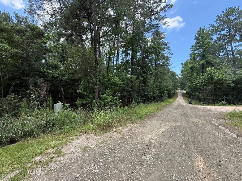 0.23 Acres of Land for Sale in Brookeland, Texas - Brookeland, Texas, 75931
