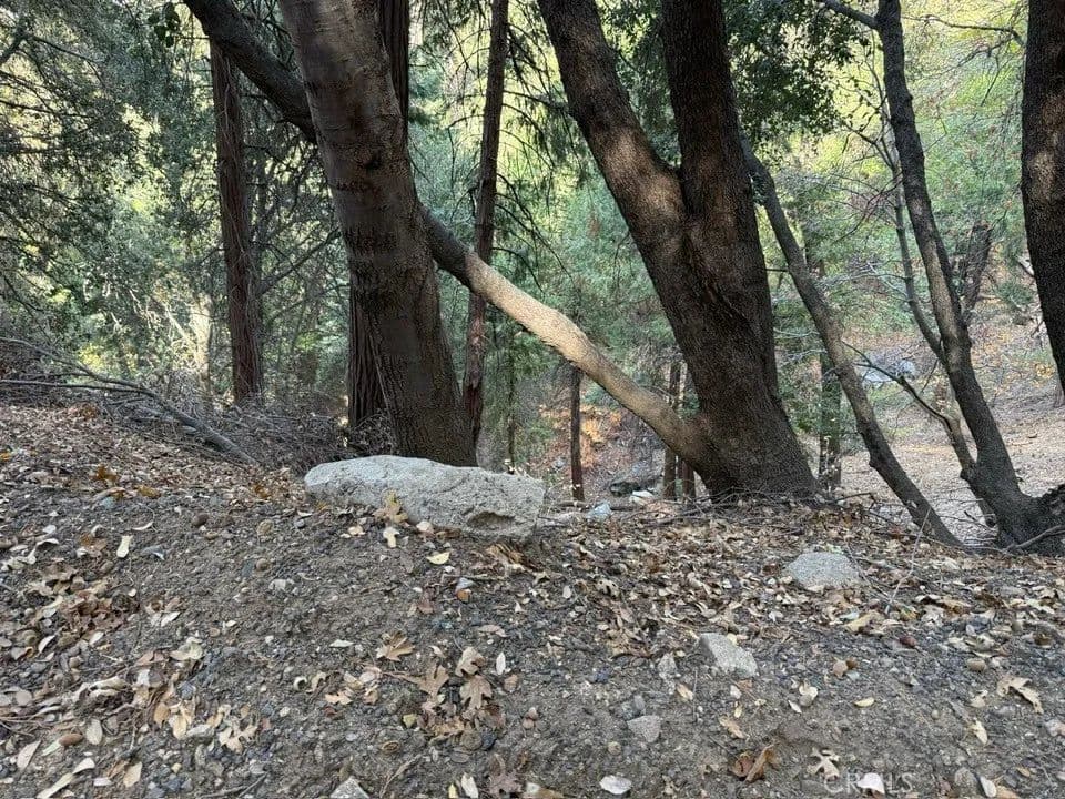 Vacant Land in Cedarpines Park - Cedarpines Park, California, 92322