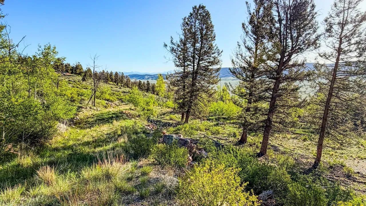 Redhill Forest 5ac +/- Private Fishing Access - Fairplay, Colorado, 80440